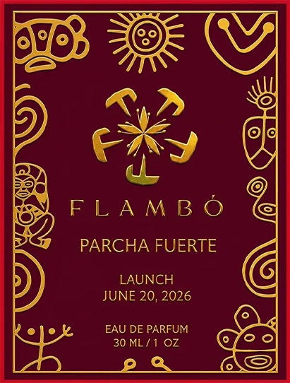 Official Launch